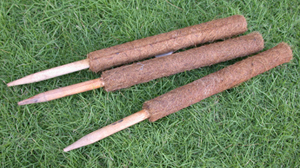 Coir-Grow-Sticks-2