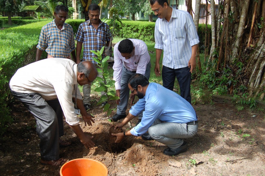 CCRI, Kalavoor(8)